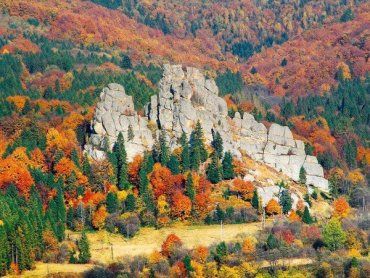 В Закарпатье и на Буковину едут не только ради горных буковых лесов и скал