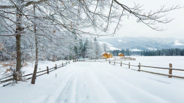 Чем ближе Новы год, тем больше снега выпадет в Карпатах: готовьте лыжи и санки!