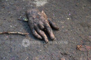 В Ужгороде около мусорного бака нашли самую настоящую человеческую руку