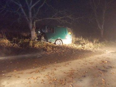 На Закарпатье в ДТП попали 19-летние парни, водитель погиб