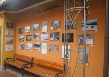 Победившие фотографии вывешены на стене в переулке Горчичное зерно в Ужгороде