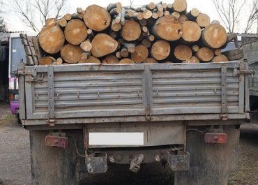 Иршавские правоохранители задержали грузовик ГАЗ-66 с лесом