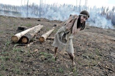 В национальном парке "Ужанский" рубят лес все, кому захочется
