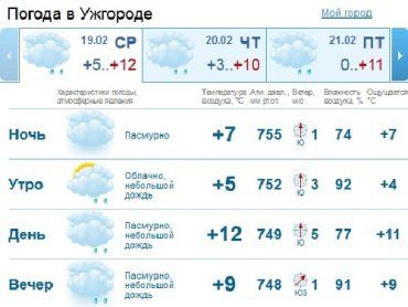 В Ужгороде с утра мелкий дождь, после обеда может усилиться