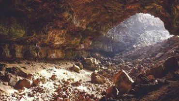 Ученые нашли новый вид животного в пещерах Туркменистана