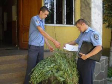 В Закарпатье милиция проводит спецоперацию «Мак-2012»