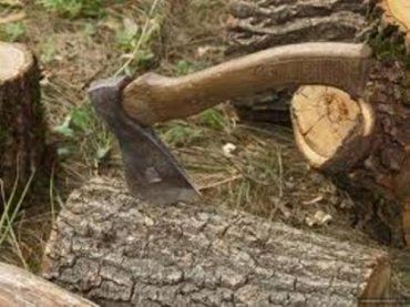 На Раховщине заготовка дров для парня закончилась смертью