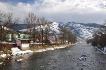 В Хустском районе река Тиса затопила 60 гектаров пастбищ