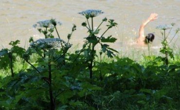 Места для купания в Ужгороде обустроят до конца этой недели