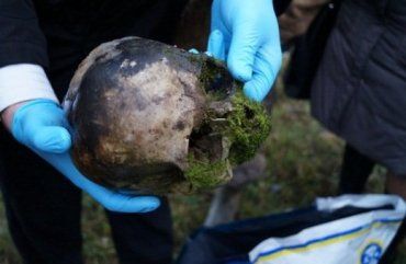 В Иршавском лесу, заготавливая на зиму дрова, можно найти и череп