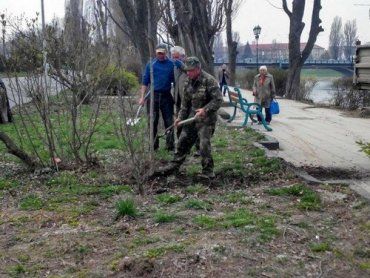 Всего на Киевской набережной высадят 11 деревьев