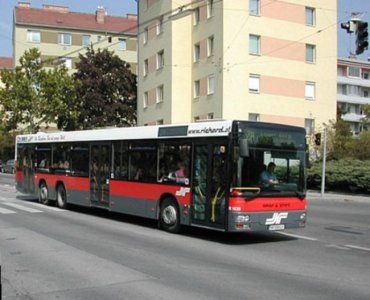 Вот какие новейшие городские автобусы могут стать заменой в Ужгороде !