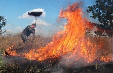В Ужгороде массово сжигают сухую траву там, где она еще есть