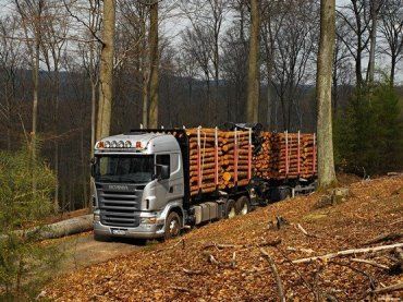 На Закарпатье ГАИ задержала грузовик с 35 кубометрами леса