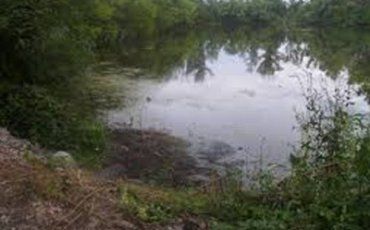 В Свалявском районе 2-летний мальчик утонул в домашнем пруду
