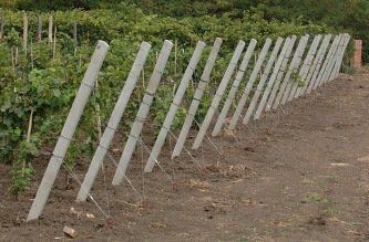 В Виноградове милиция задержала вора бетонных опор для винограда