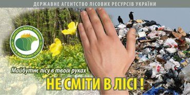 На Мукачівщині — операція «зачищення лісу»