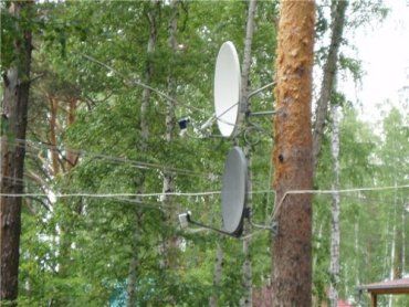 За лесами Закарпатья решили наблюдать со спутников Евросоюза