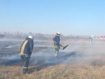 Пожарные 14 раз выезжали на ликвидацию пожаров в экосистемах
