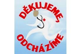 К профсоюзной протестной акции присоединилось 78 из 200 больниц Чехии
