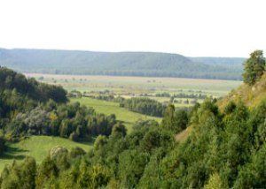В Перечинском районе экологи наказали лесников на 24 тыс.грн.