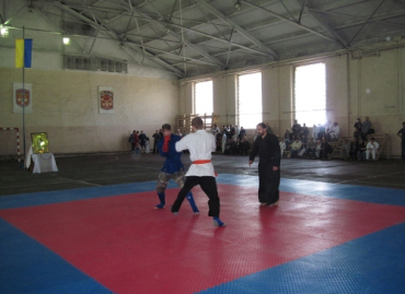 В Мукачево состоялся праздничный турнир по боевым искусствам