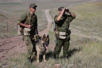 В Закарпатье пограничники со служебной собакой Бисси нашли нарушителей границы