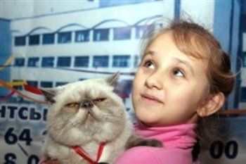 Выставка пушистых котят пройдет в Ужгороде