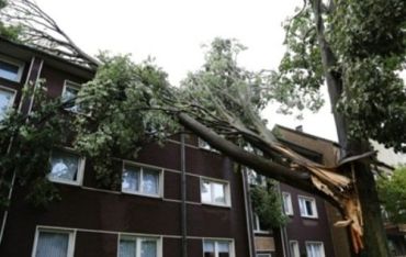 В Германии из-за сильного урагана погибли шесть человек
