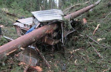 Несчастный случай произошел в лесу в Раховском районе