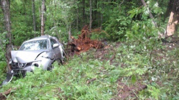 Водитель не справился с управлением Nissan и допустил столкновение с деревом