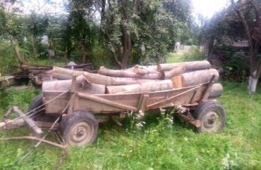 В Ужгородском районе правоохранители задержали воров дров