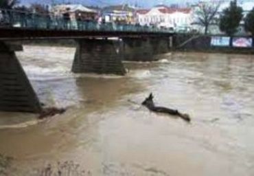 В Ужгороде наводнения нет, но уровень воды в Уже поднимается