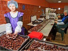 Производства сладостей из шоколада премиум-класса в Мукачево
