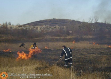 Закарпатская область: с жарой вернулись и пожары в экосистемах