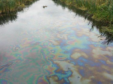 В результате несанкционированной «врезки» нефть попала в реку Уж