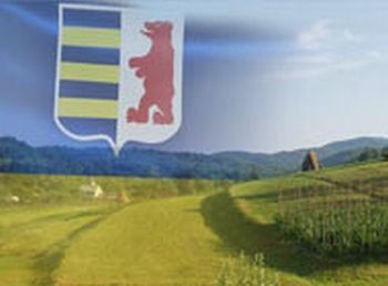 Закарпатский облсовет утвердил для региона «проукраинское» знамя