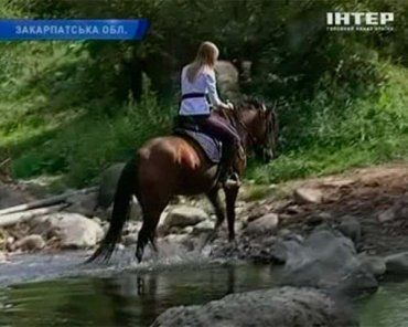 В Закарпатье создадут украинский центр развития и популяризации лошадей