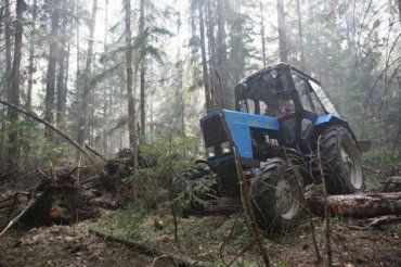 В Иршавском районе погиб тракторист во время трелевки леса