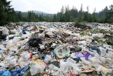 Виноградовский район постепенно превращается в огромную мусорную свалку