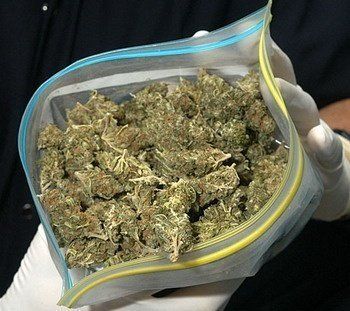 Предприниматель пытался сбыть более 50 кг марихуаны