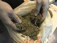 В железнодорожном контейнере нашли почти 2 кг марихуаны
