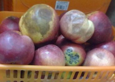 В Ужгороде не дадут пропасть яблоку, - даже гнилые продадут