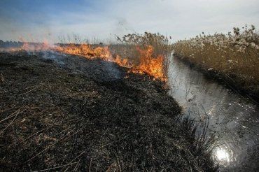 В Закарпатье объявлена чрезвычайная пожарная опасность