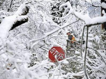 На Закарпатье штормовое предупреждение: снежные лавины в горах, снег и метели