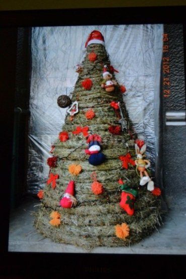 Лучшей новогодней елкой Закарпатья признали обычный стог сена