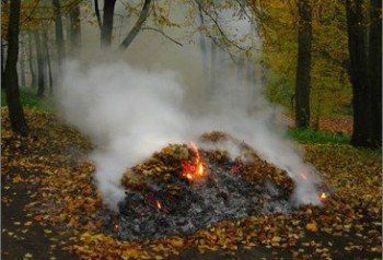 Сжигать в лесу костры нельзя, дышать дымом тоже опасно для здоровья