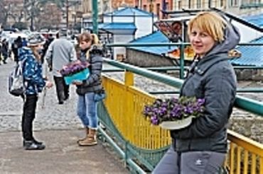 В центре Ужгорода первоцветами торгуют уже вторую неделю