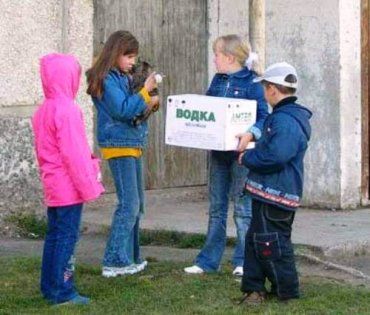 В Иршавском районе девочки 5 и 7 лет отравились самогоном