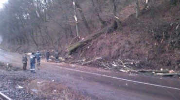 В Закарпатье дорогу завалило поваленными ветром деревьями